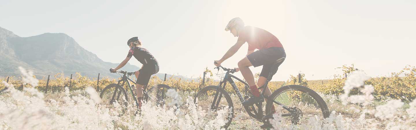rent-a-bicycle